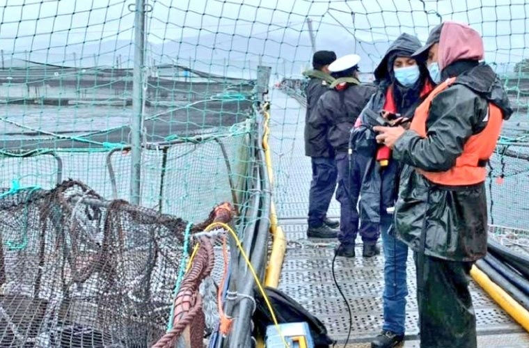 SERNAPESCA (Chile) durante una revisión a una instalación de salmón SERNAPESCA (Chile) durante una revisión a una instalación de salmón