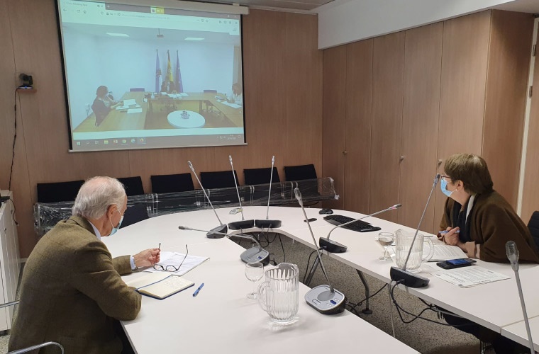 SG Pesca MAPA videoconferencia con Conselleira Xunta SG Pesca MAPA videoconferencia con Conselleira Xunta