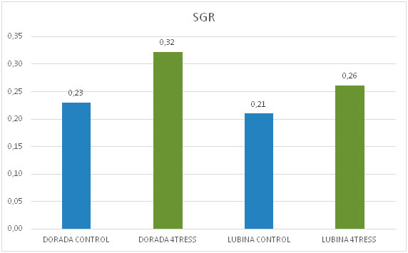 sgr1-dorada-lubina-4tress-dibaq