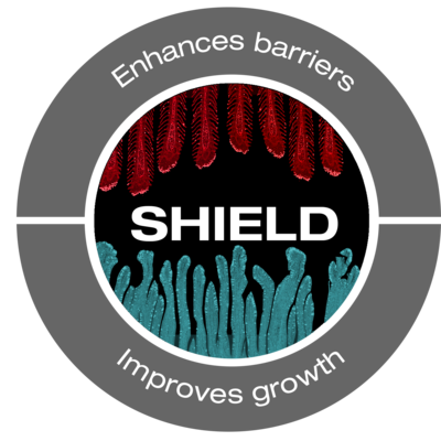 shield-new2019