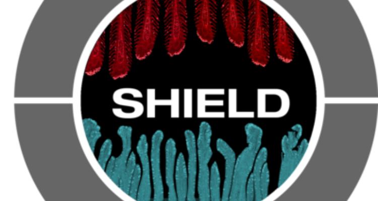 shield-new2019 shield-new2019