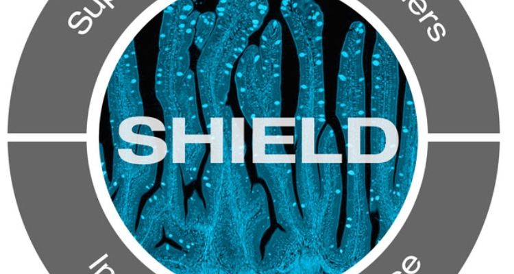 shield-skretting