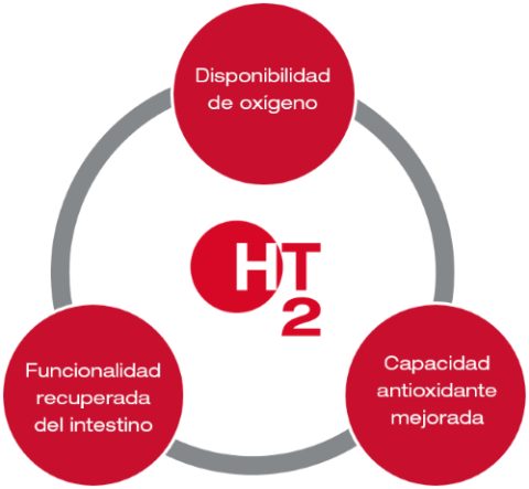 Skretting explicación HTO2