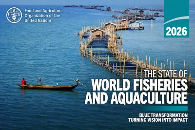 La FAO conferma il salto storico dell’acquacoltura Mondiale mentre l’Europa continua a perdere peso produttivo
