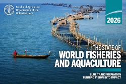 FAO confirms aquaculture’s historic milestone as Europe continues to lose production ground