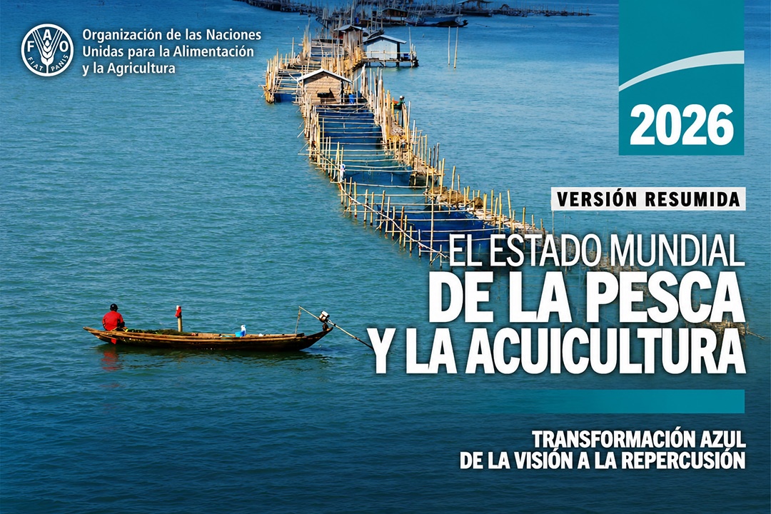 SOFIA 2026 - Portada