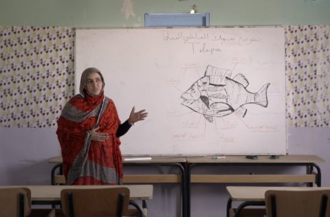"Sólo son peces" fotograma del cortometraje