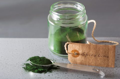 Spirulina platensis en polvo