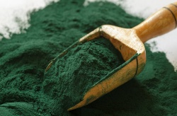 El multimillonario negocio mundial de producir Chlorella y Spirulina