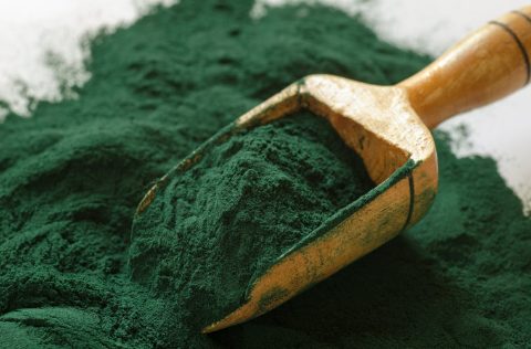 Spirulina en polvo