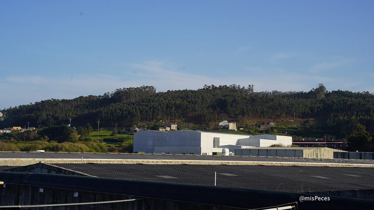 Acuidoro, granja de lenguados en Cervo