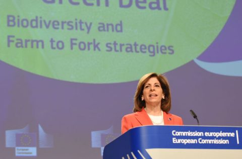 Stella Kyriakides, Comisaria Sanidad UE