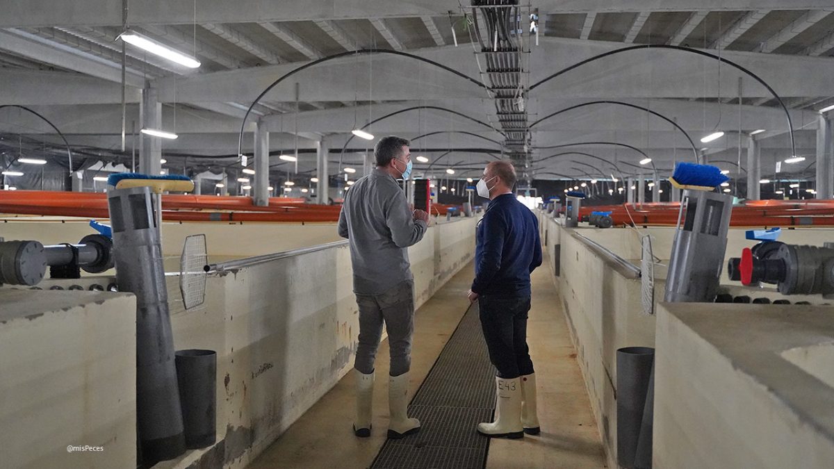 Rubén Faraldo (izq) durante la visita a las instalaciones de Cervo | @misPeces