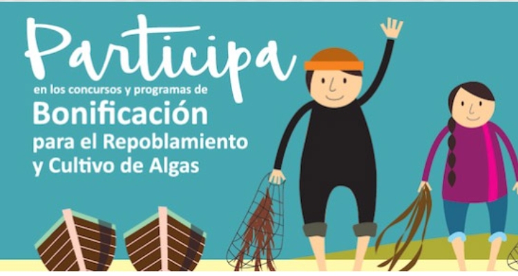 subpesca-repoblamiento-cultivo-algas