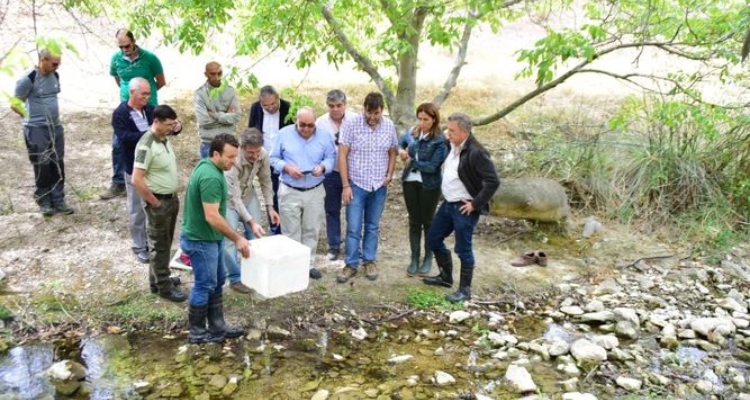 suelta-cangrejo-rio-autoctono-huescar