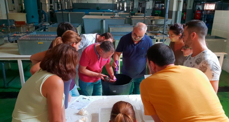 summer-school-algae4-ab-sept2018