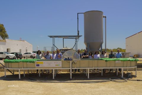 sunras-univcadiz-investigadores-proyecto-760