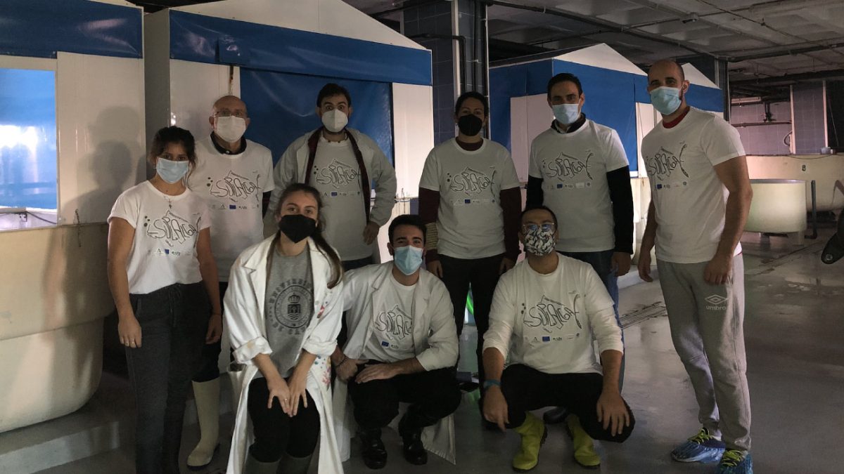 SUPLALGAE, equipo