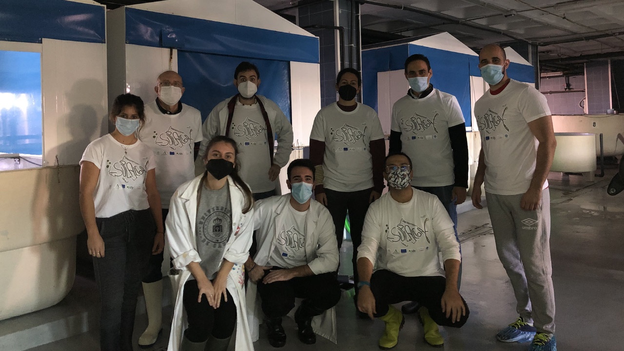 SUPLALGAE, equipo SUPLALGAE, equipo