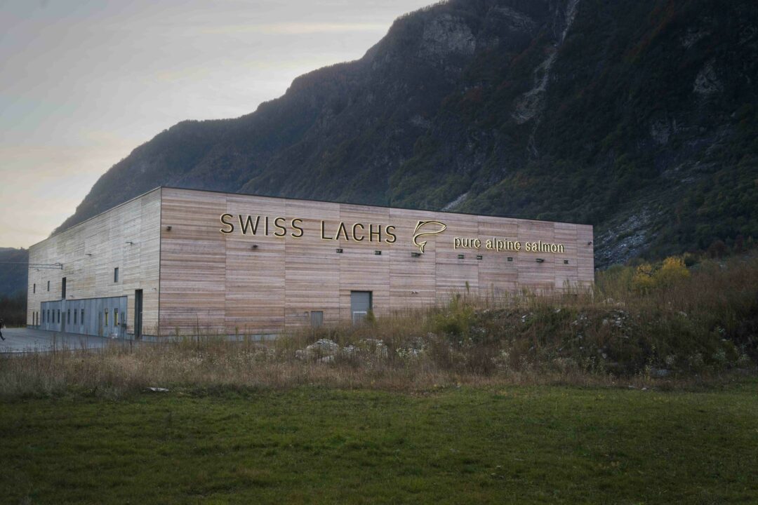 Swiss Alpine Fish a ampliará su capacidad productiva de salmón para ...