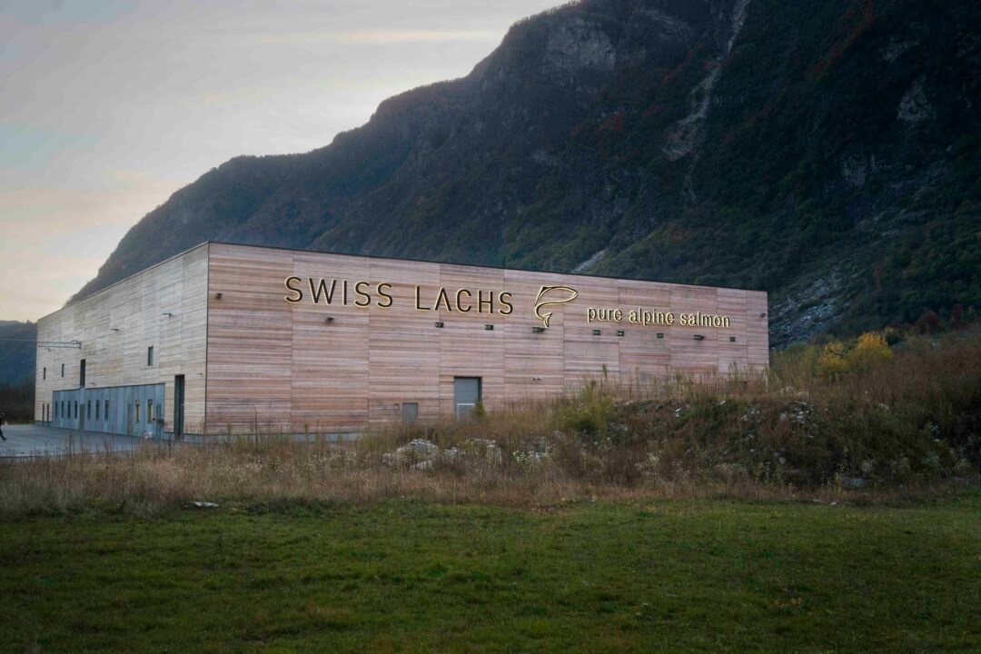 Swiss Alpine Fish, Instalación de RAS Swiss Alpine Fish, Instalación de RAS