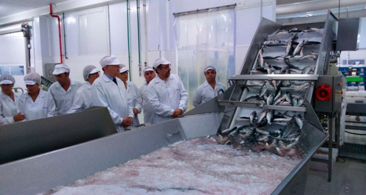 Visita Ximo Puis Frescamar Alimentación Visita Ximo Puis Frescamar Alimentación