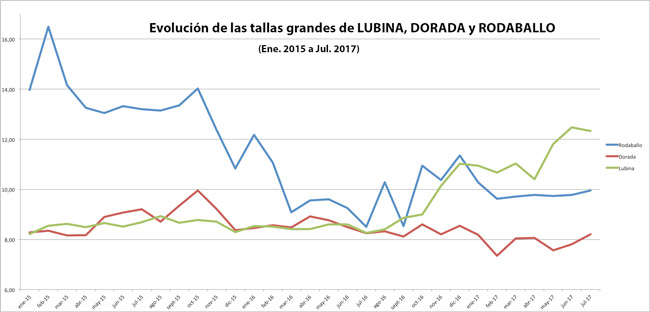 tallas-grande-dorada-lubina-rodaballo