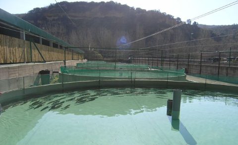 tanques_circulares-itacyl