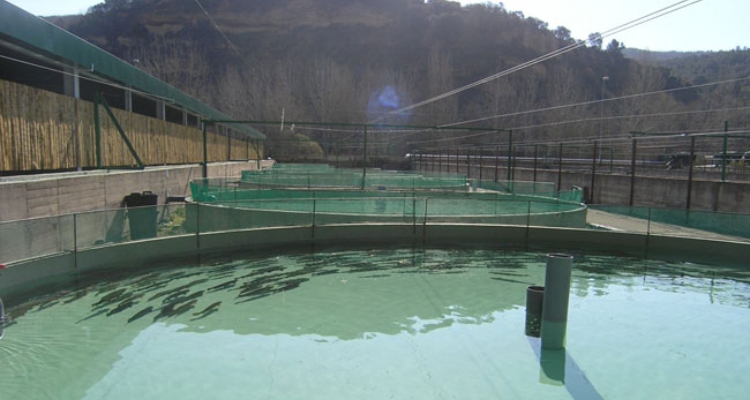 tanques_circulares-itacyl