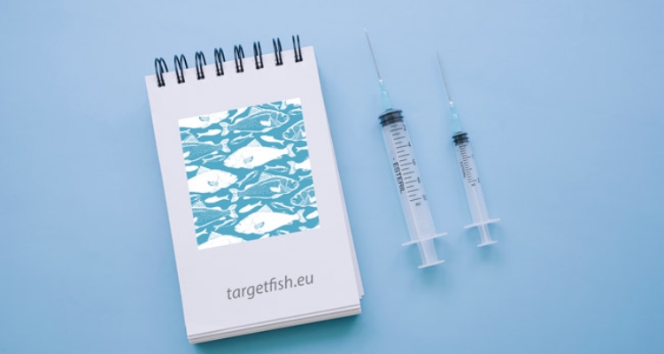 targetfish-final-project