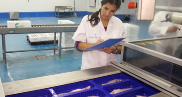 tecnica-ctaqua-control-filetes-lubina