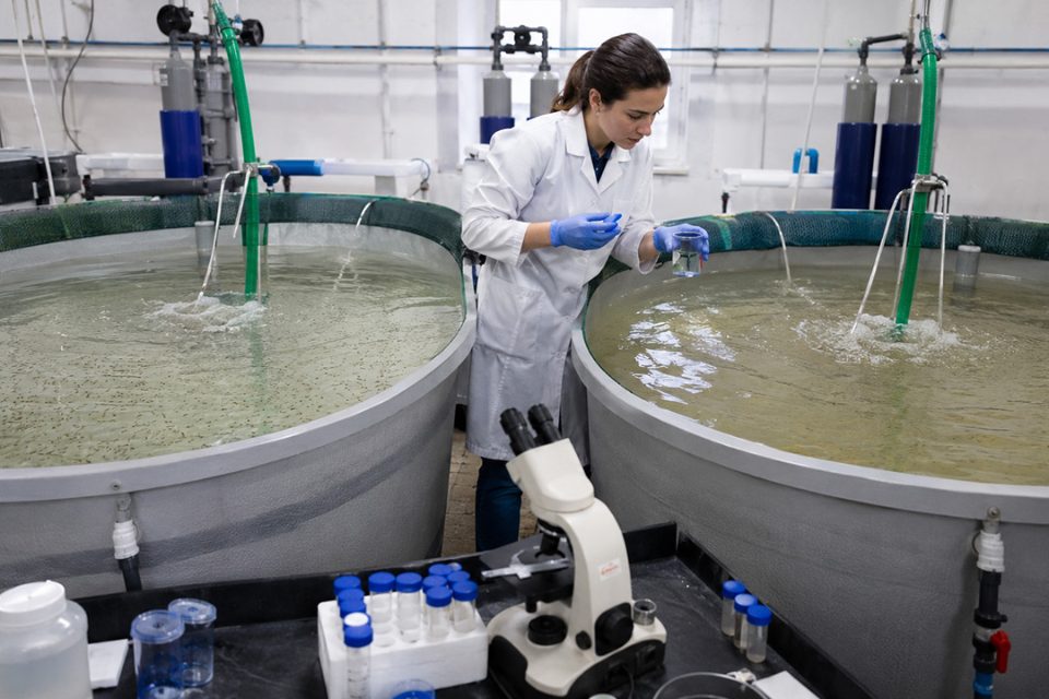 Técnica de laboratorio analizando calidad bajo el agua