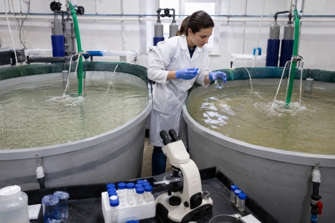Técnica de laboratorio analizando calidad bajo el agua