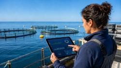 Andalucía pasa de las estadísticas históricas a la inteligencia sectorial en acuicultura