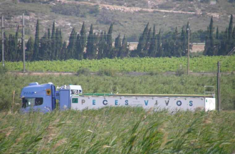 Camión de transporte de peces vivos Camión de transporte de peces vivos