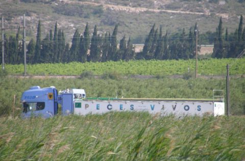 Camión de transporte de peces vivos