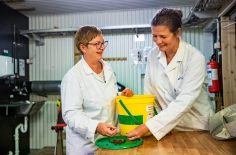 Trine Ytrestøyl y Turid Synnøve Aas autoras del informe | NOFIMA
