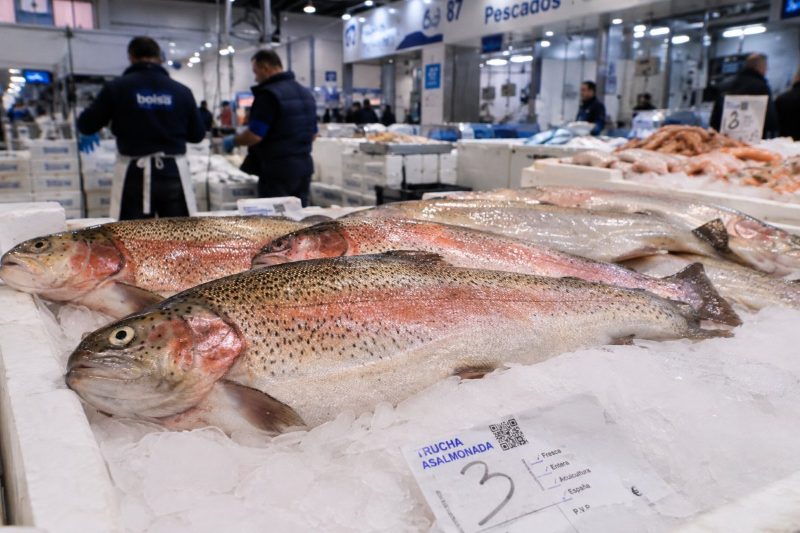 La trucha pierde un 28,5% de volumen en Mercamadrid en plena transición del sector hacia tallas grandes