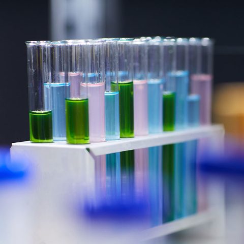 Tubos ensayo microalgas