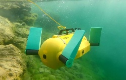 Biorrobots para mejorar la observación de peces de granja con el mínimo estrés