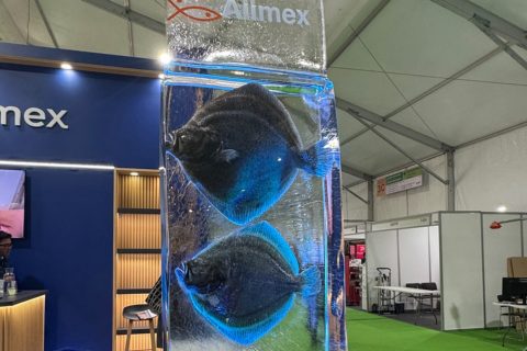 Chile revisits commercial turbot farming as RAS project faces scale-up challenge