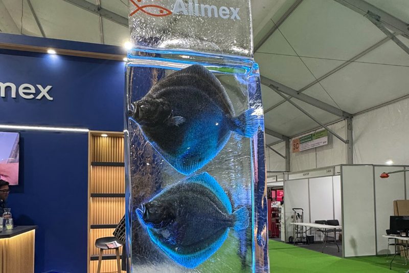 Chile revisits commercial turbot farming as RAS project faces scale-up challenge