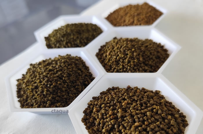 Piensos CTAQUA con Ulva fermentada