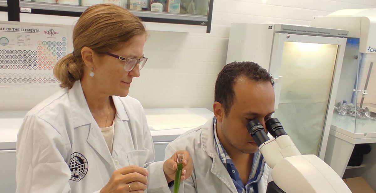 Investigadores de la Universidad de Jaén