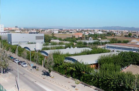 Grupo Acuicultura y Biodiversidad de la UPV