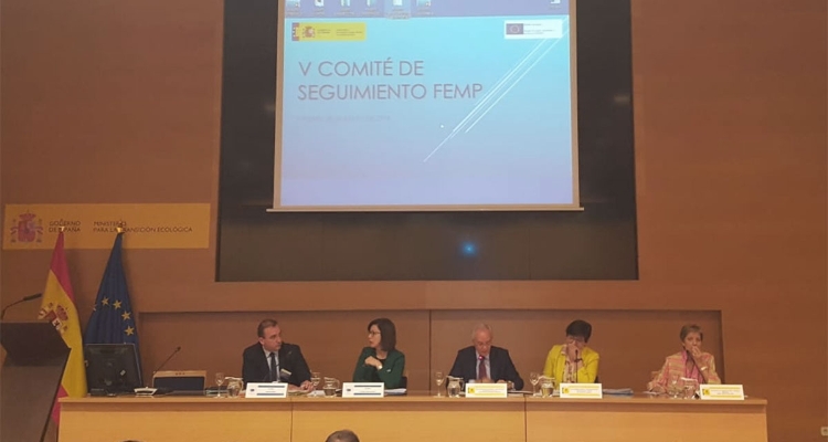 v-comite-seguimiento-femp-mayo2019