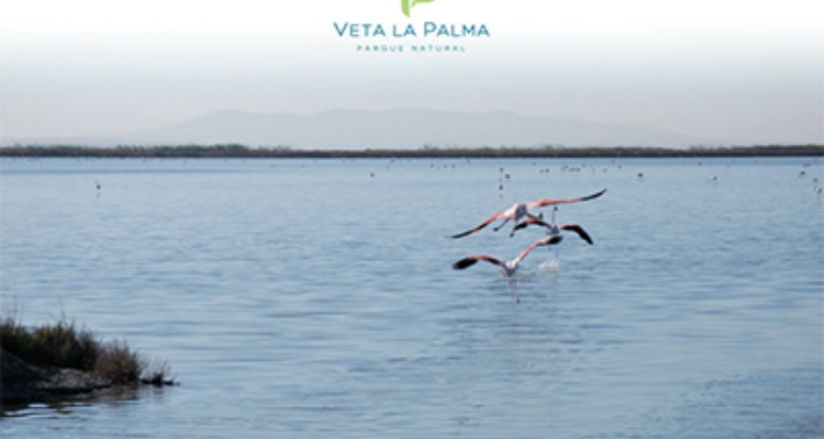 veta-palma-calidad-certificada