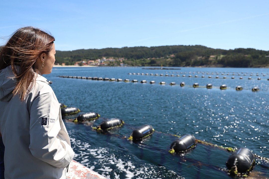 Marta Villaverde mirando longlines