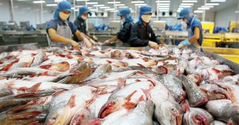 vinh-hoan-corporation-panga