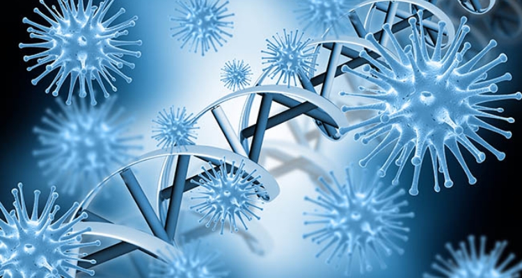 virus-adn